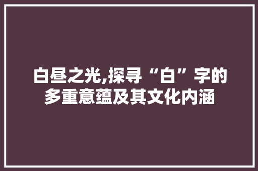 白昼之光,探寻“白”字的多重意蕴及其文化内涵