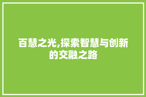 百慧之光,探索智慧与创新的交融之路