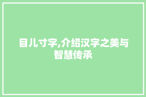 目儿寸字,介绍汉字之美与智慧传承