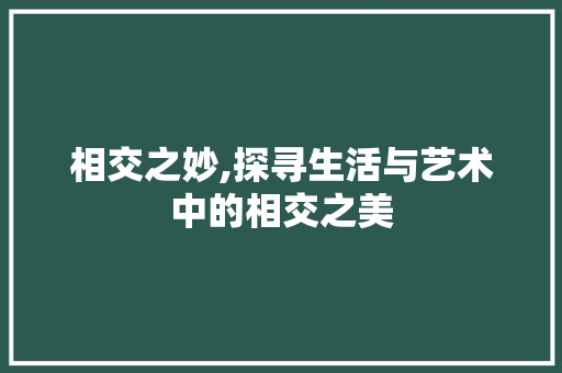 相交之妙,探寻生活与艺术中的相交之美 词汇积累