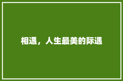 相遇，人生最美的际遇