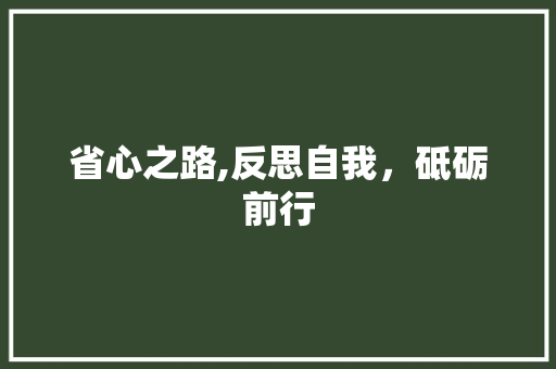 省心之路,反思自我，砥砺前行