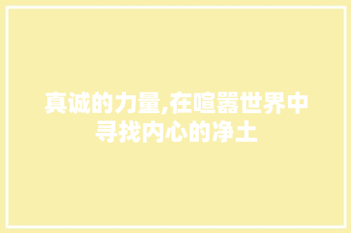 真诚的力量,在喧嚣世界中寻找内心的净土