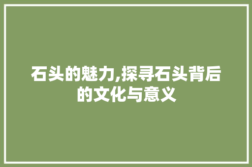 石头的魅力,探寻石头背后的文化与意义