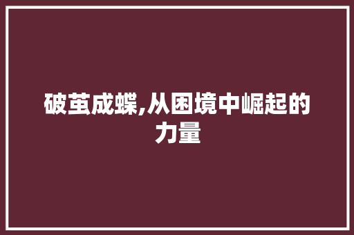 破茧成蝶,从困境中崛起的力量 写作技巧
