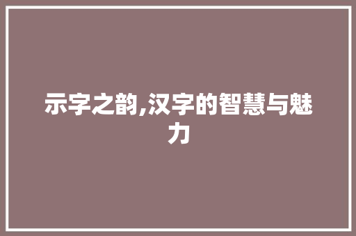 示字之韵,汉字的智慧与魅力 报告写作