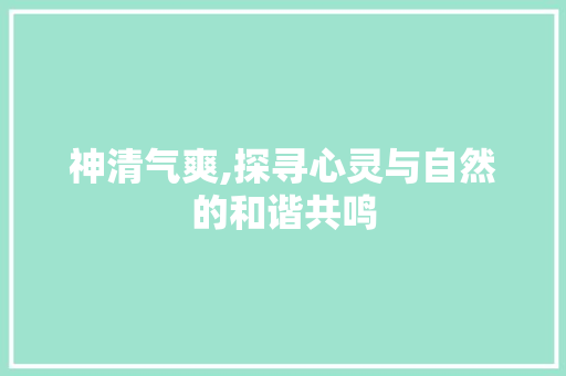 神清气爽,探寻心灵与自然的和谐共鸣