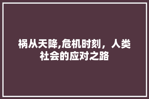 祸从天降,危机时刻，人类社会的应对之路 词汇积累