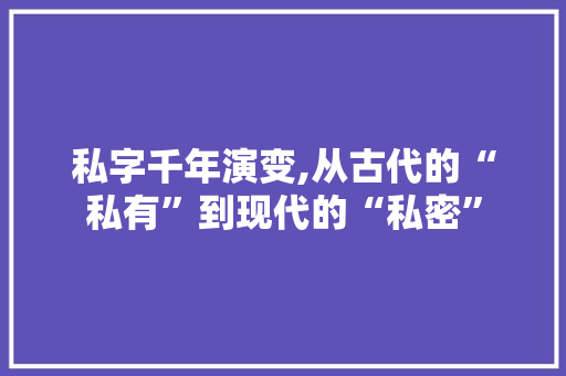私字千年演变,从古代的“私有”到现代的“私密”