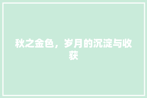 秋之金色，岁月的沉淀与收获