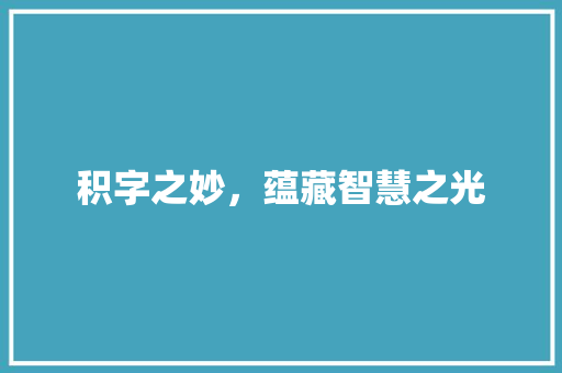 积字之妙，蕴藏智慧之光