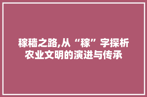 稼穑之路,从“稼”字探析农业文明的演进与传承