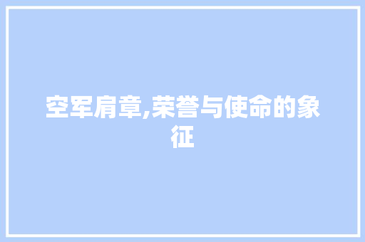 空军肩章,荣誉与使命的象征