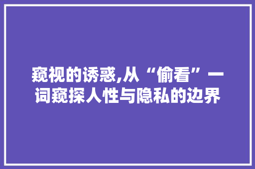 窥视的诱惑,从“偷看”一词窥探人性与隐私的边界 词汇积累