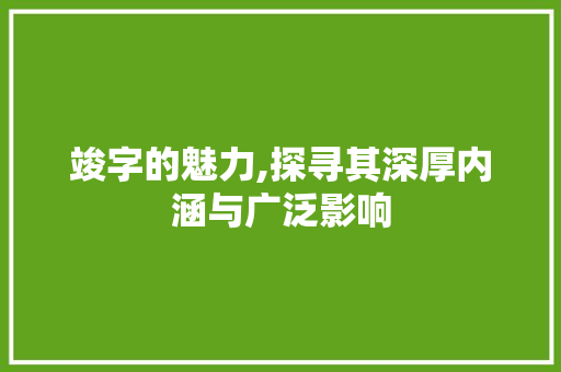 竣字的魅力,探寻其深厚内涵与广泛影响 商业文案