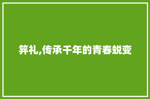 笄礼,传承千年的青春蜕变