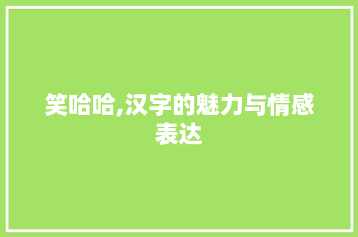 笑哈哈,汉字的魅力与情感表达 商业文案