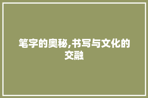 笔字的奥秘,书写与文化的交融 简历模板