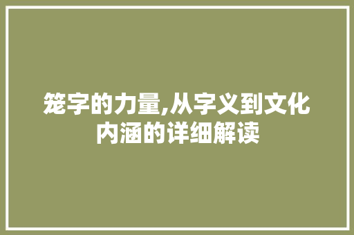 笼字的力量,从字义到文化内涵的详细解读