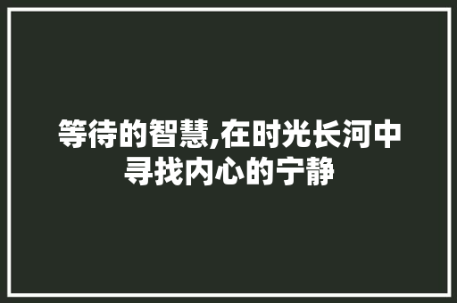 等待的智慧,在时光长河中寻找内心的宁静 诗歌创作