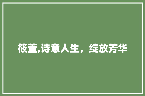 筱萱,诗意人生，绽放芳华 写作素材