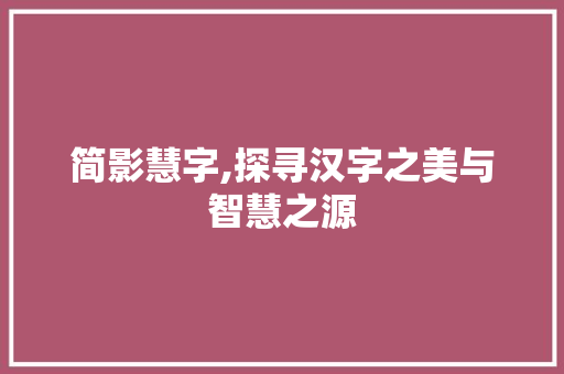 简影慧字,探寻汉字之美与智慧之源 写作社区