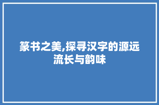 篆书之美,探寻汉字的源远流长与韵味 写作素材