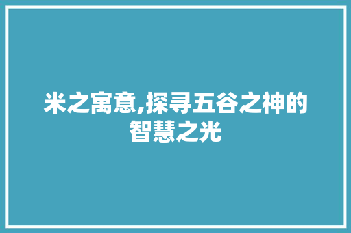 米之寓意,探寻五谷之神的智慧之光