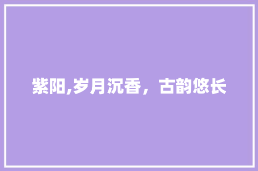 紫阳,岁月沉香，古韵悠长 报告写作