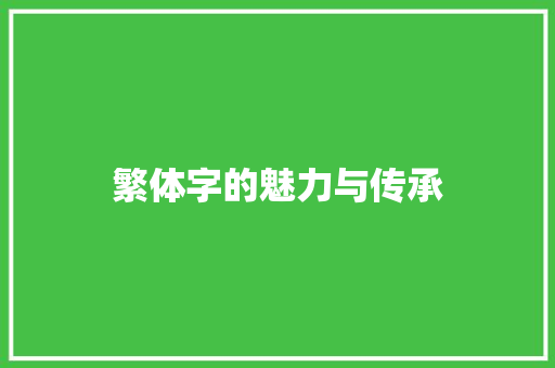 繁体字的魅力与传承 写作素材