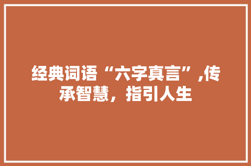 经典词语“六字真言”,传承智慧，指引人生 写作社区