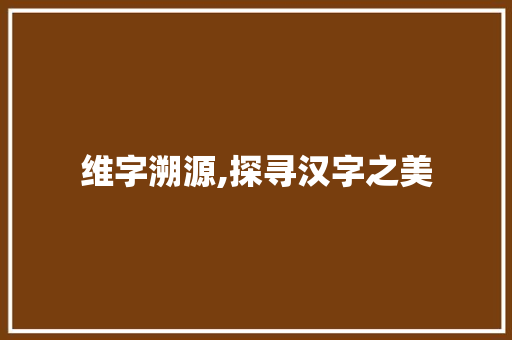维字溯源,探寻汉字之美 范文赏析