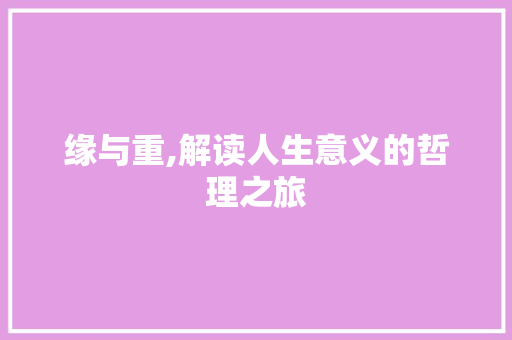 缘与重,解读人生意义的哲理之旅 写作技巧