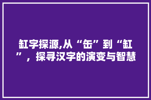 缸字探源,从“缶”到“缸”，探寻汉字的演变与智慧