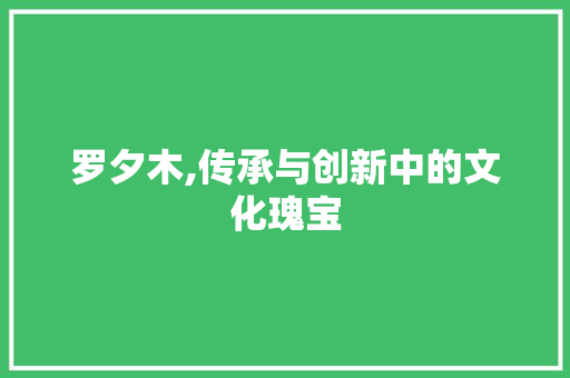 罗夕木,传承与创新中的文化瑰宝 词汇积累