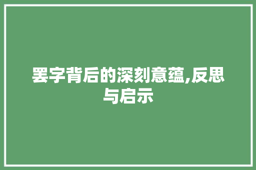 罢字背后的深刻意蕴,反思与启示 简历模板