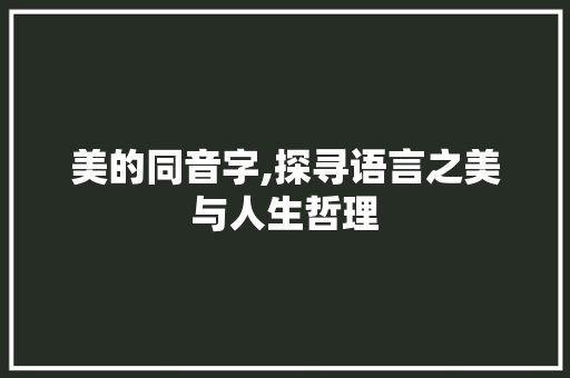 美的同音字,探寻语言之美与人生哲理