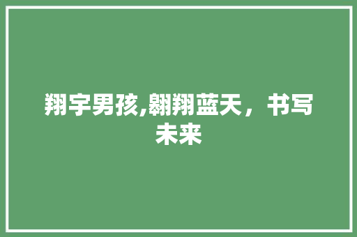 翔宇男孩,翱翔蓝天，书写未来