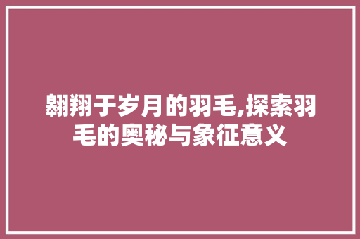翱翔于岁月的羽毛,探索羽毛的奥秘与象征意义 词汇积累