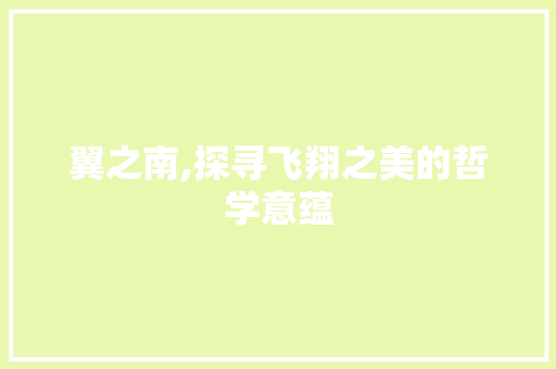 翼之南,探寻飞翔之美的哲学意蕴