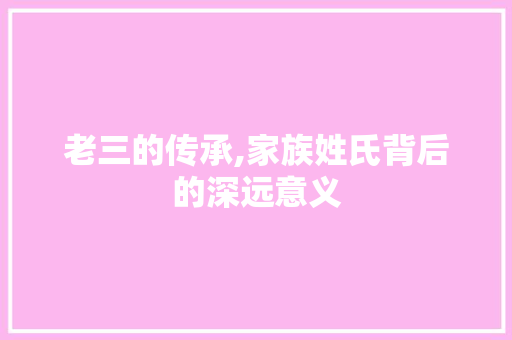 老三的传承,家族姓氏背后的深远意义 简历模板