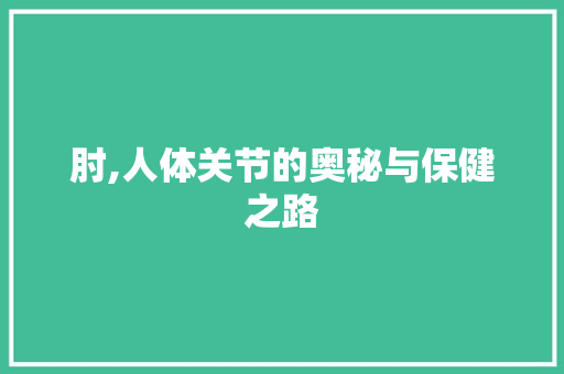 肘,人体关节的奥秘与保健之路