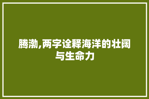腾渤,两字诠释海洋的壮阔与生命力 报告写作