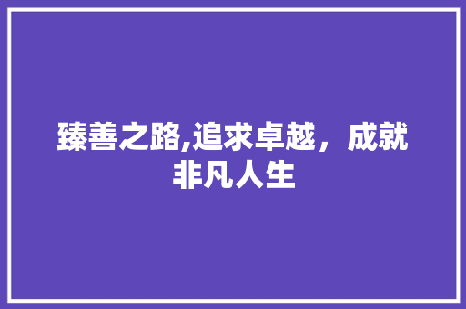 臻善之路,追求卓越，成就非凡人生