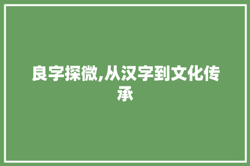 良字探微,从汉字到文化传承 简历模板