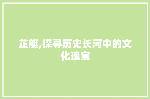 芷艇,探寻历史长河中的文化瑰宝 简历模板