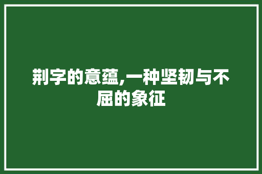 荆字的意蕴,一种坚韧与不屈的象征 写作技巧
