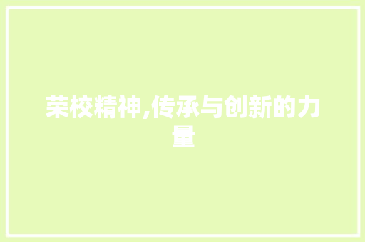 荣校精神,传承与创新的力量 简历模板