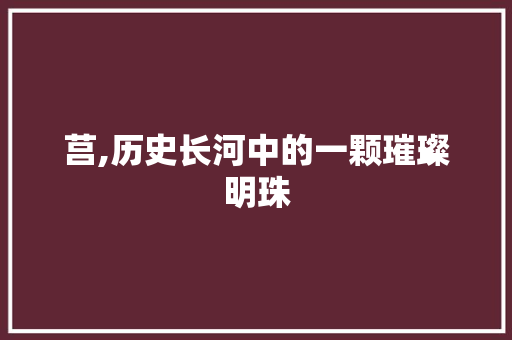 莒,历史长河中的一颗璀璨明珠 简历模板