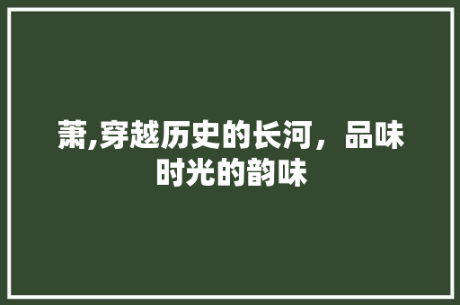 萧,穿越历史的长河，品味时光的韵味 词汇积累